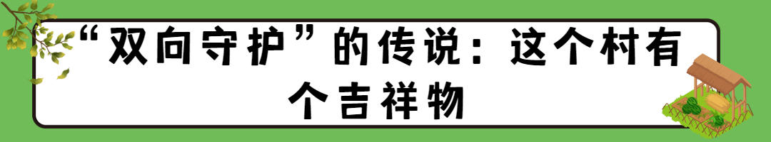 ｜“上天”赚外汇？沂源这个村致富秘诀不简单米乐m6登录入口寻觅乡愁·讲讲俺村的故事(图2)
