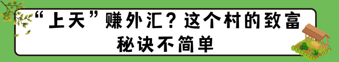 ｜“上天”赚外汇？沂源这个村致富秘诀不简单米乐m6登录入口寻觅乡愁·讲讲俺村的故事(图4)